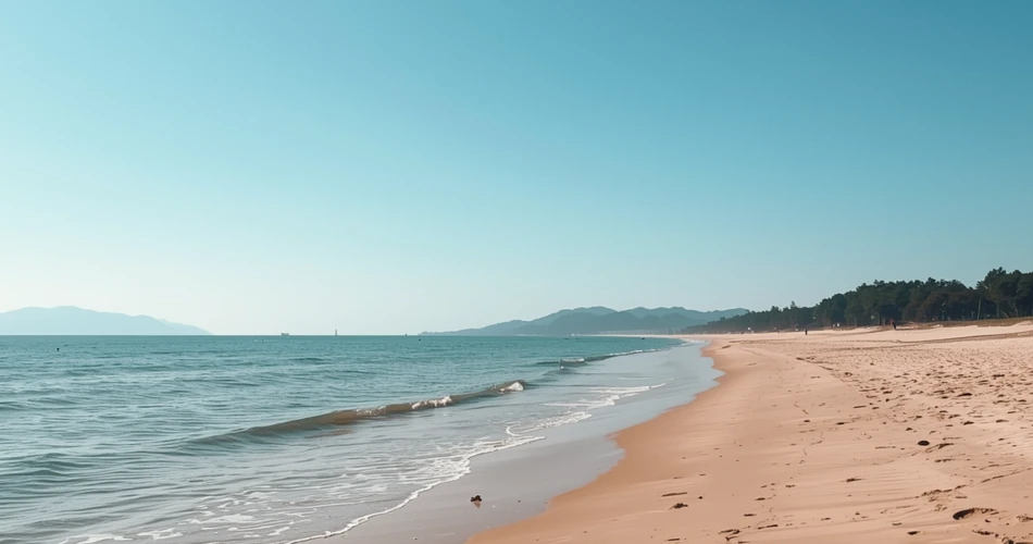 Cayucos Travel Guide 2026: Best Attractions & Scenic Coastal Views