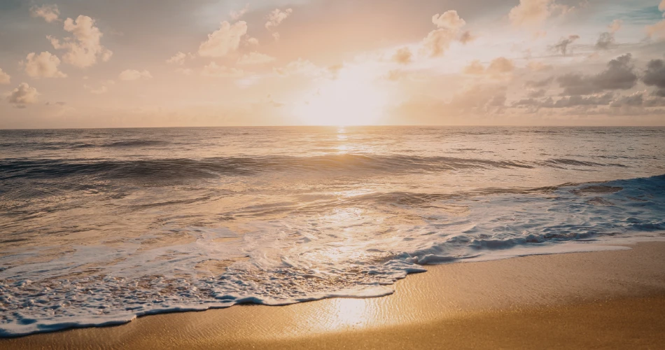 Discover the magic of Cayucos nights — from golden sunsets to live music and cozy coastal vibes.